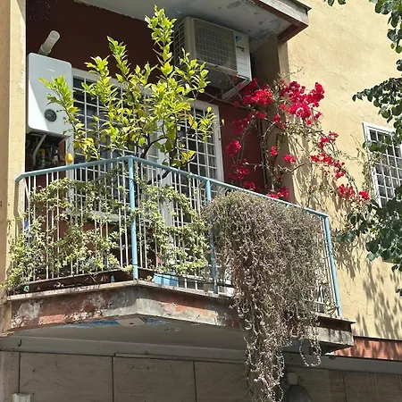 Casa Del Colle * 罗马